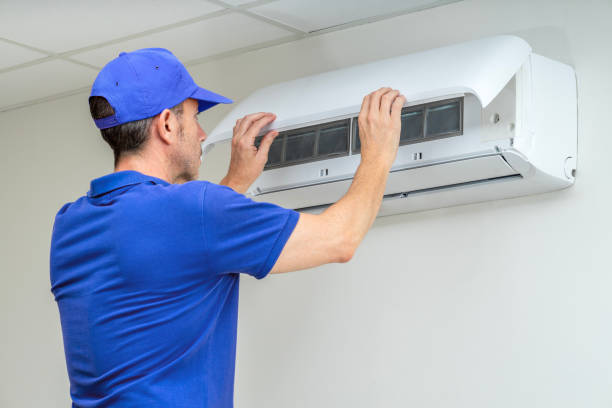 Best Air Duct Sanitizing Services  in Vandalia, OH